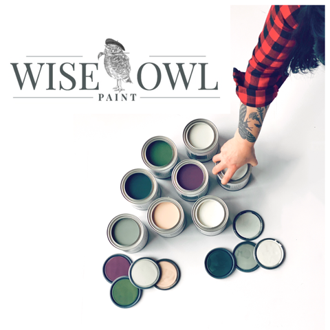 Wise Owl Paints