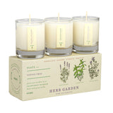 Herb Garden Trio