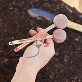 Seed Pops