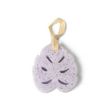 Spa Sponge