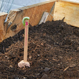 Seed Pops