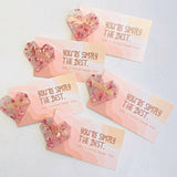 Pink Heart Clip