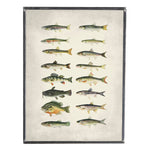 Vintage Fish Print