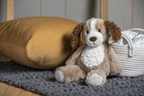 Parker Puppy