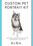 Custom Pet Portrait