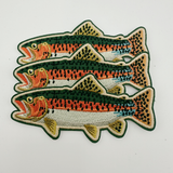 Trout