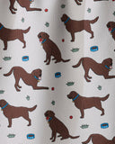 Chocolate-lab