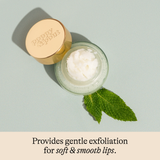 Mint Lip Scrub