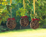 Seed & Nut
