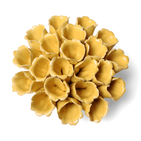 Yellow Wall Flowers
