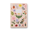 Curio Notebooks (3)
