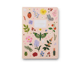Curio Notebooks (3)