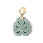 Spa Sponge