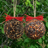 Seed & Nut