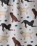 Chocolate-lab