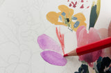 Pencil Set