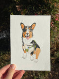 Custom Pet Portrait
