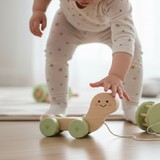 Turtle Wooden Pull Toy