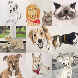 Custom Pet Portrait
