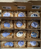 Oyster Trinket Dish
