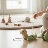 Turtle Wooden Pull Toy