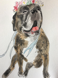 Custom Pet Portrait