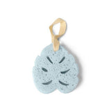 Spa Sponge