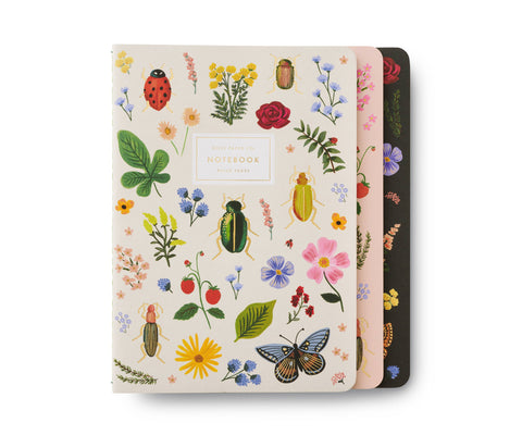 Curio Notebooks (3)