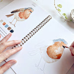 Birds watercolor