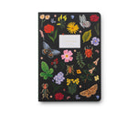 Curio Notebooks (3)