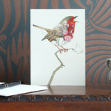 Robin