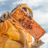 Beeswax Candle Nutcracker