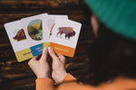 Kids Campfire Stories Deck