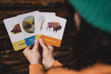 Kids Campfire Stories Deck