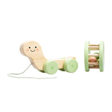 Turtle Wooden Pull Toy