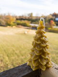 Beeswax Candle Tree