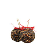 Seed & Nut