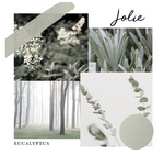 Eucalyptus I Jolie Paint